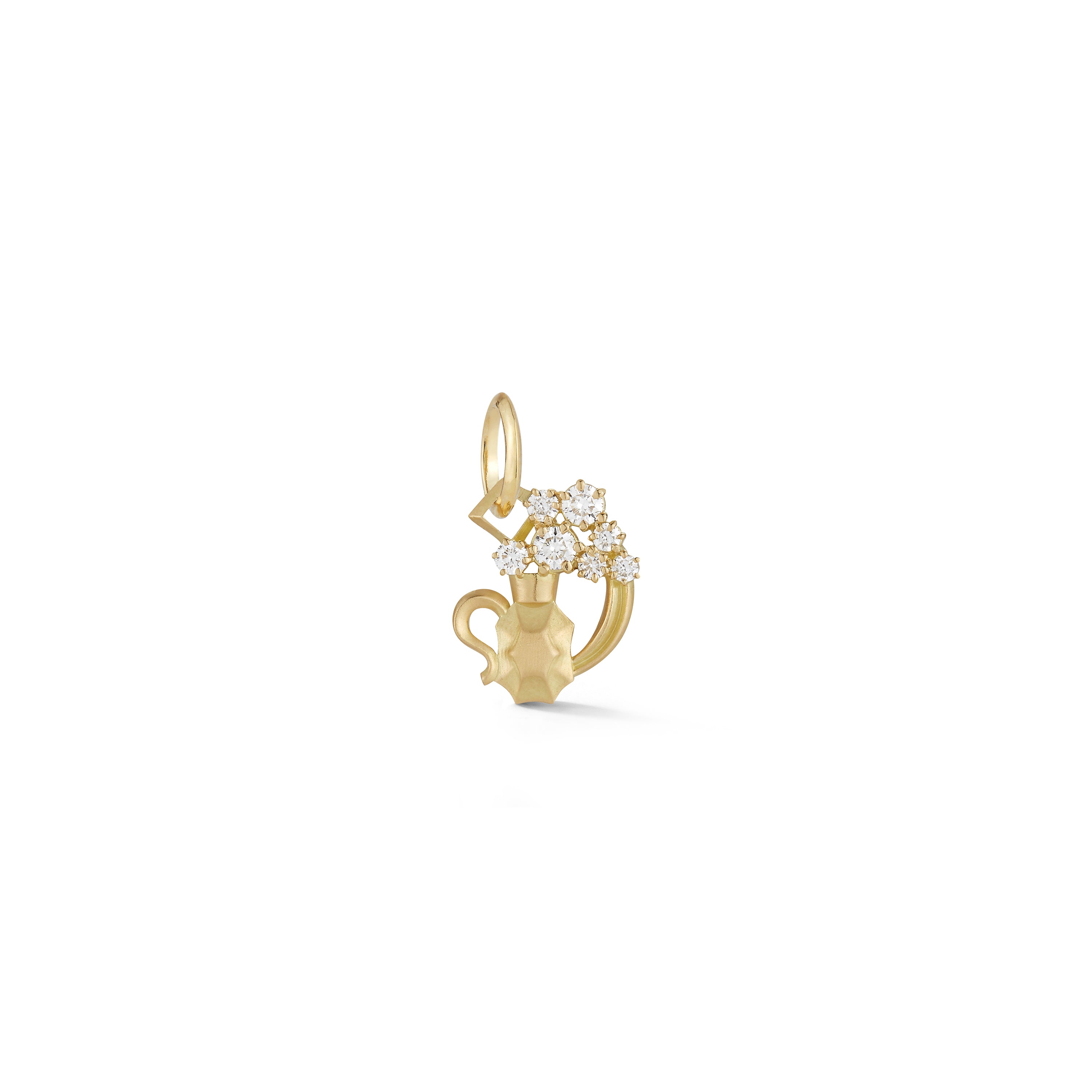 Aquarius Charm