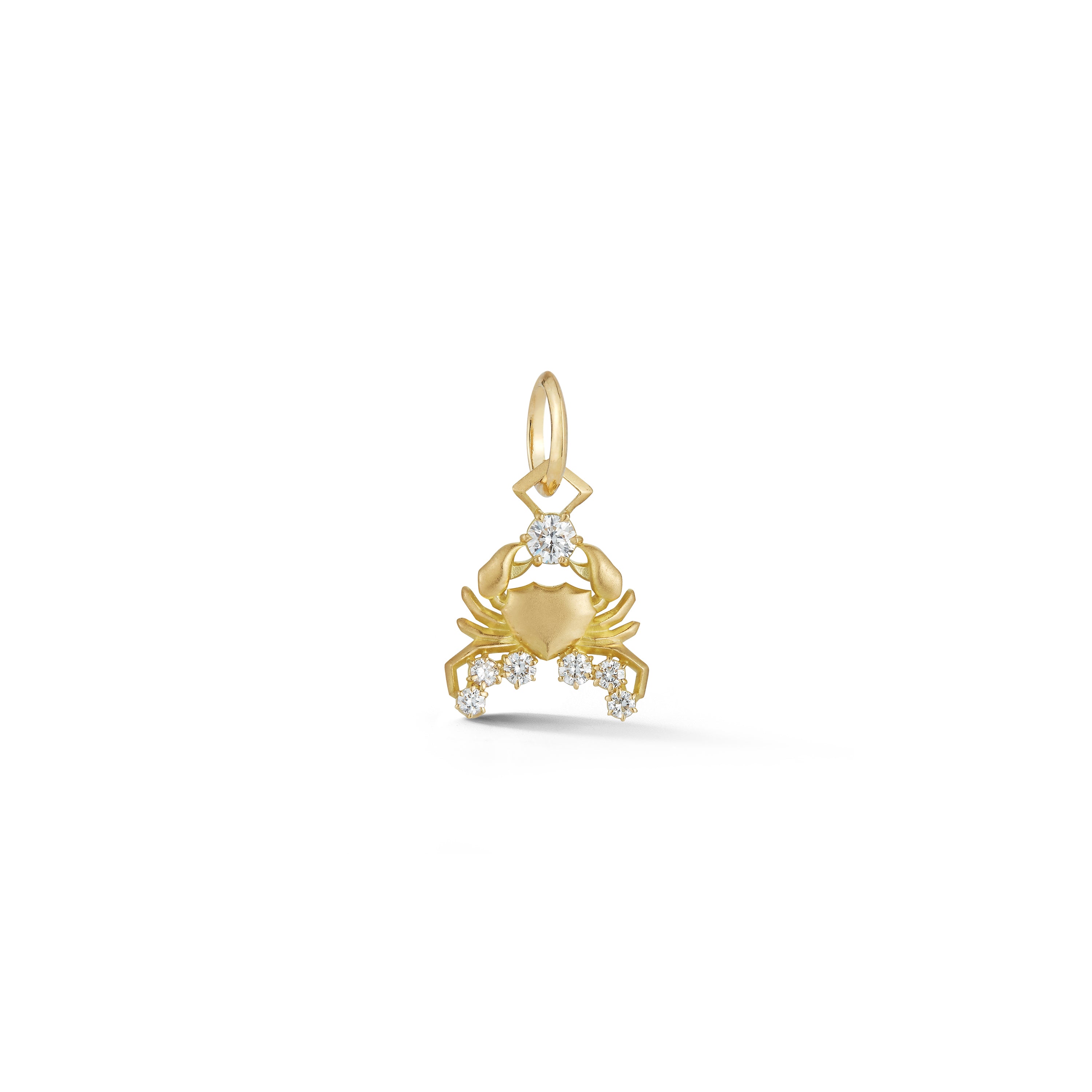 Cancer Charm