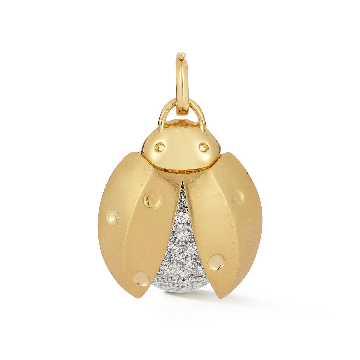 Ladybug Charm