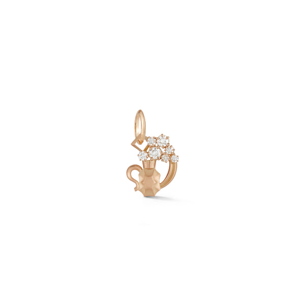 Aquarius Charm