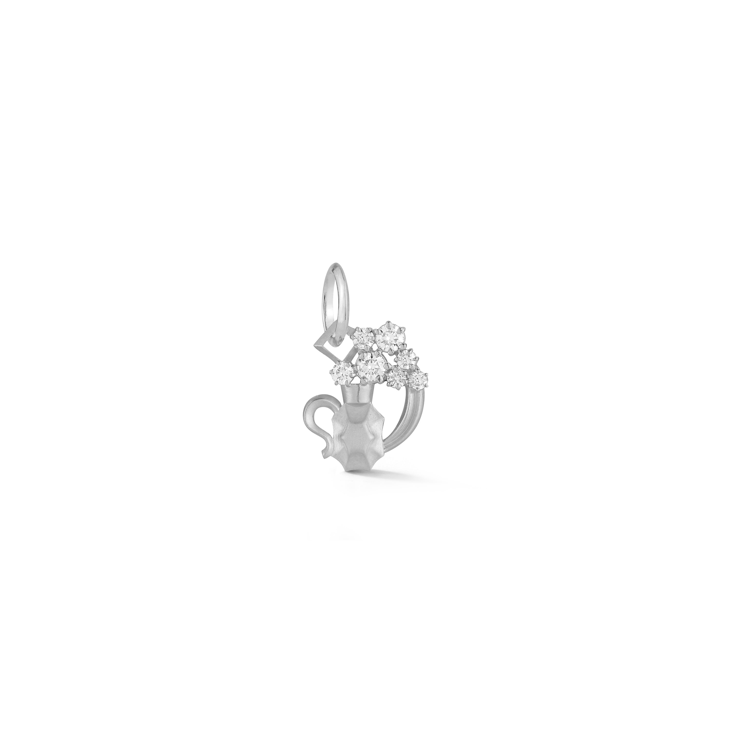 Aquarius Charm