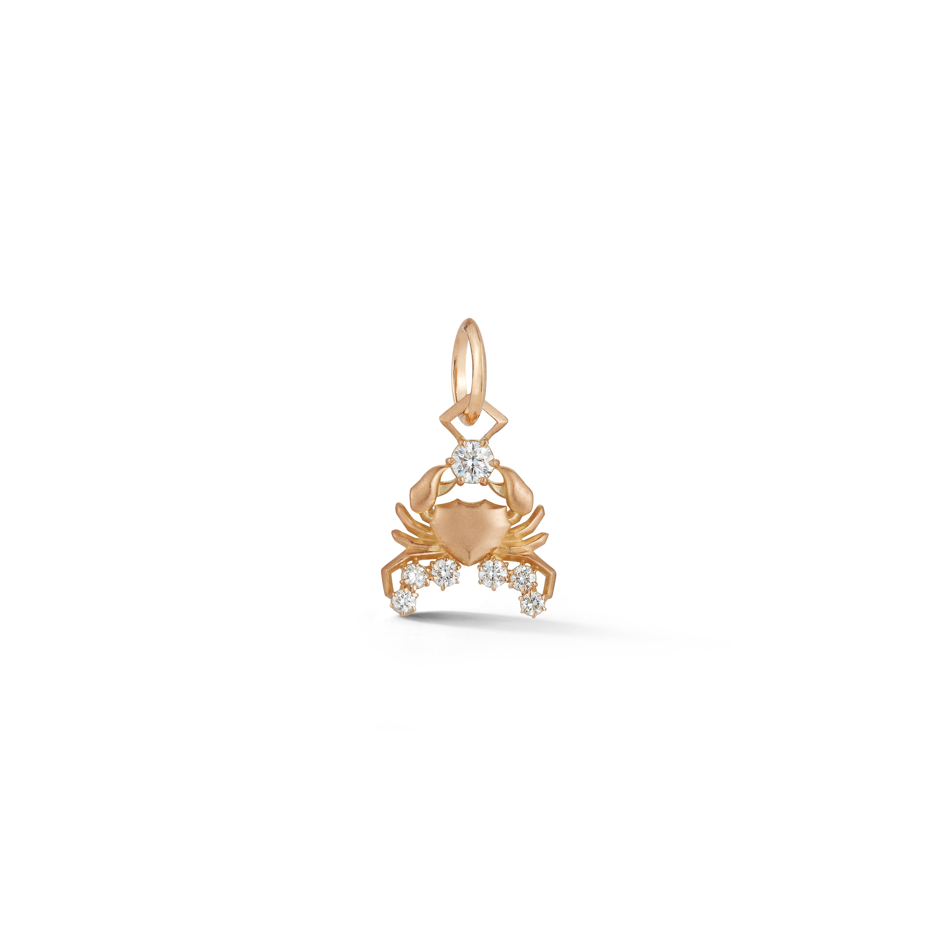 Cancer Charm