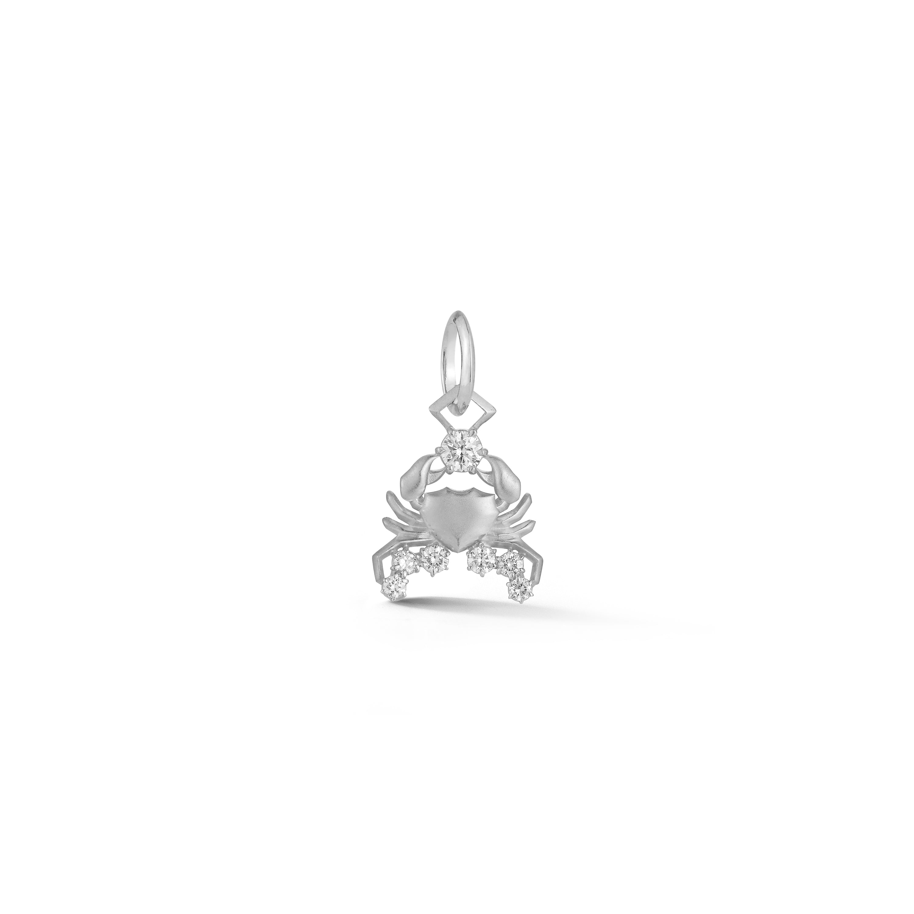 Cancer Charm