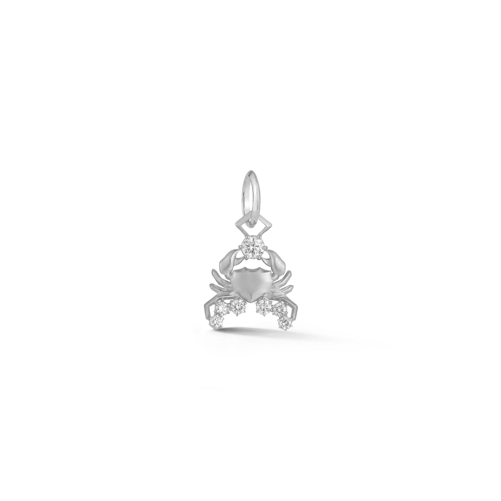 Cancer Charm
