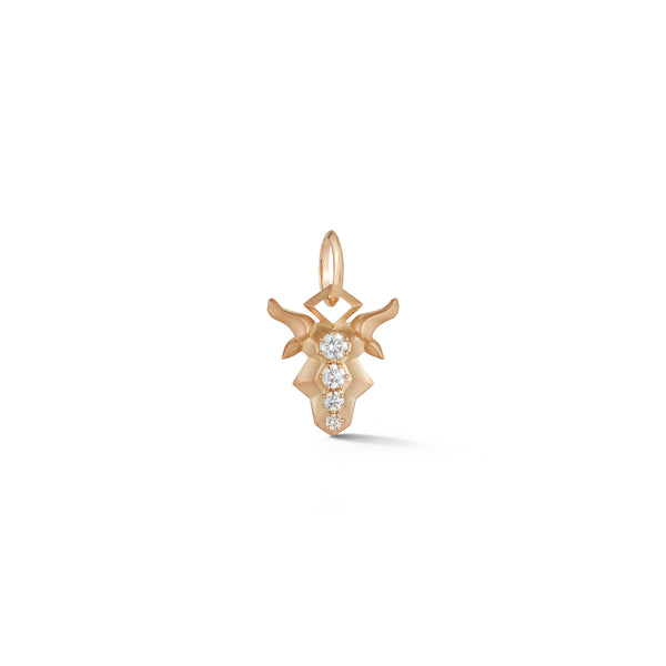 Capricorn Charm