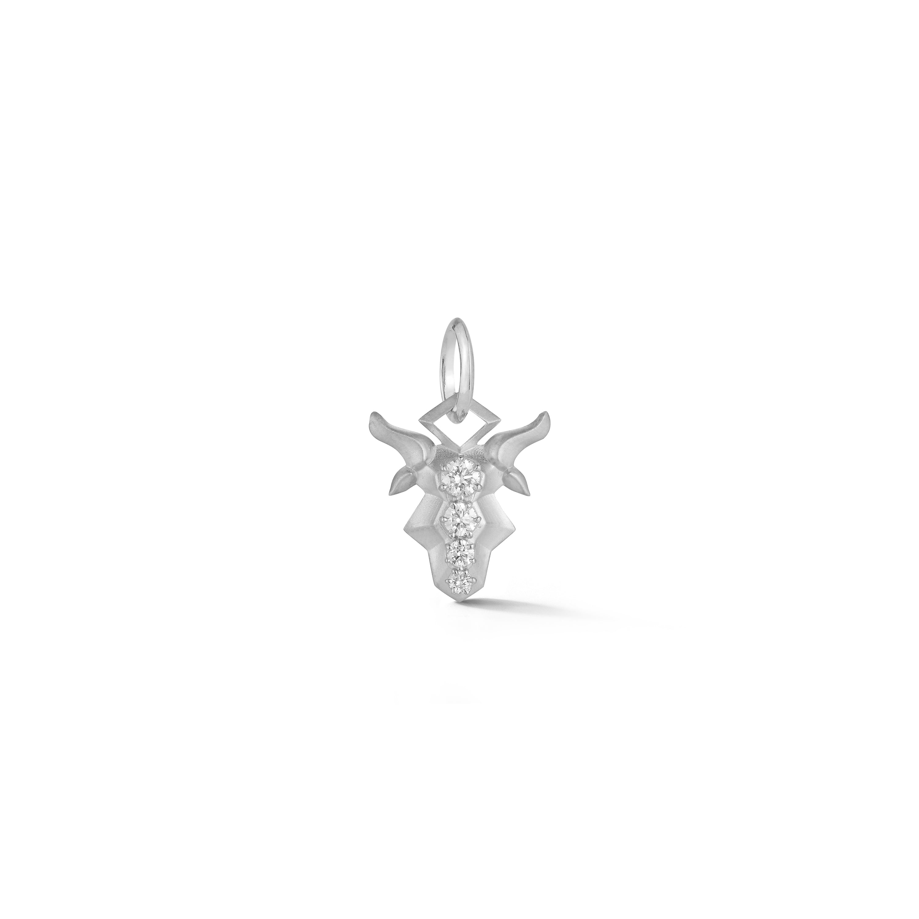 Capricorn Charm
