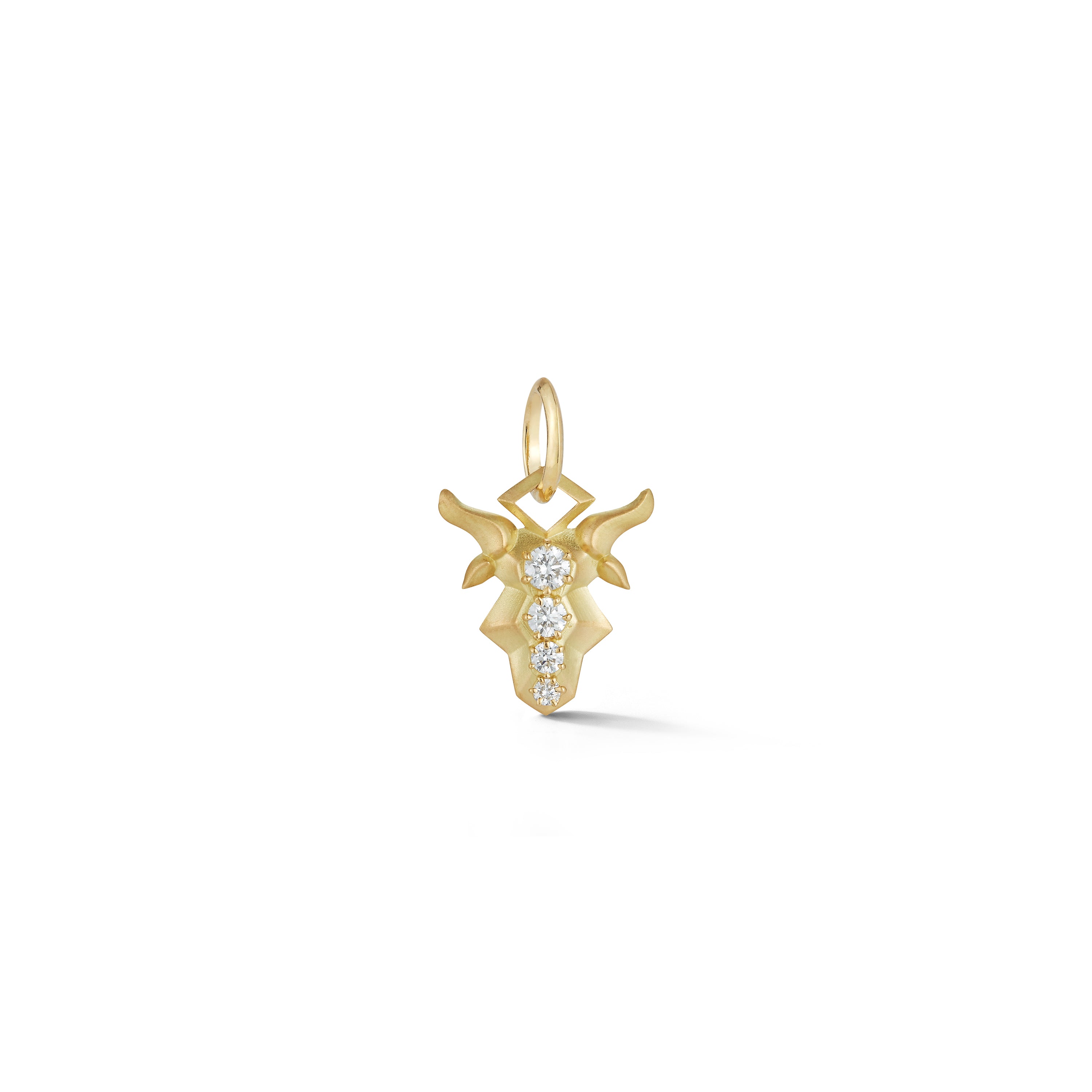 Capricorn Charm