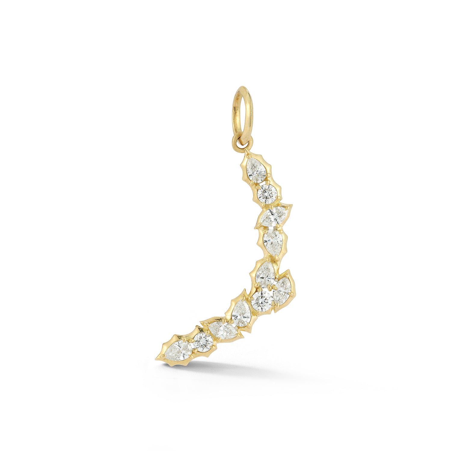 Posey Crescent Charm