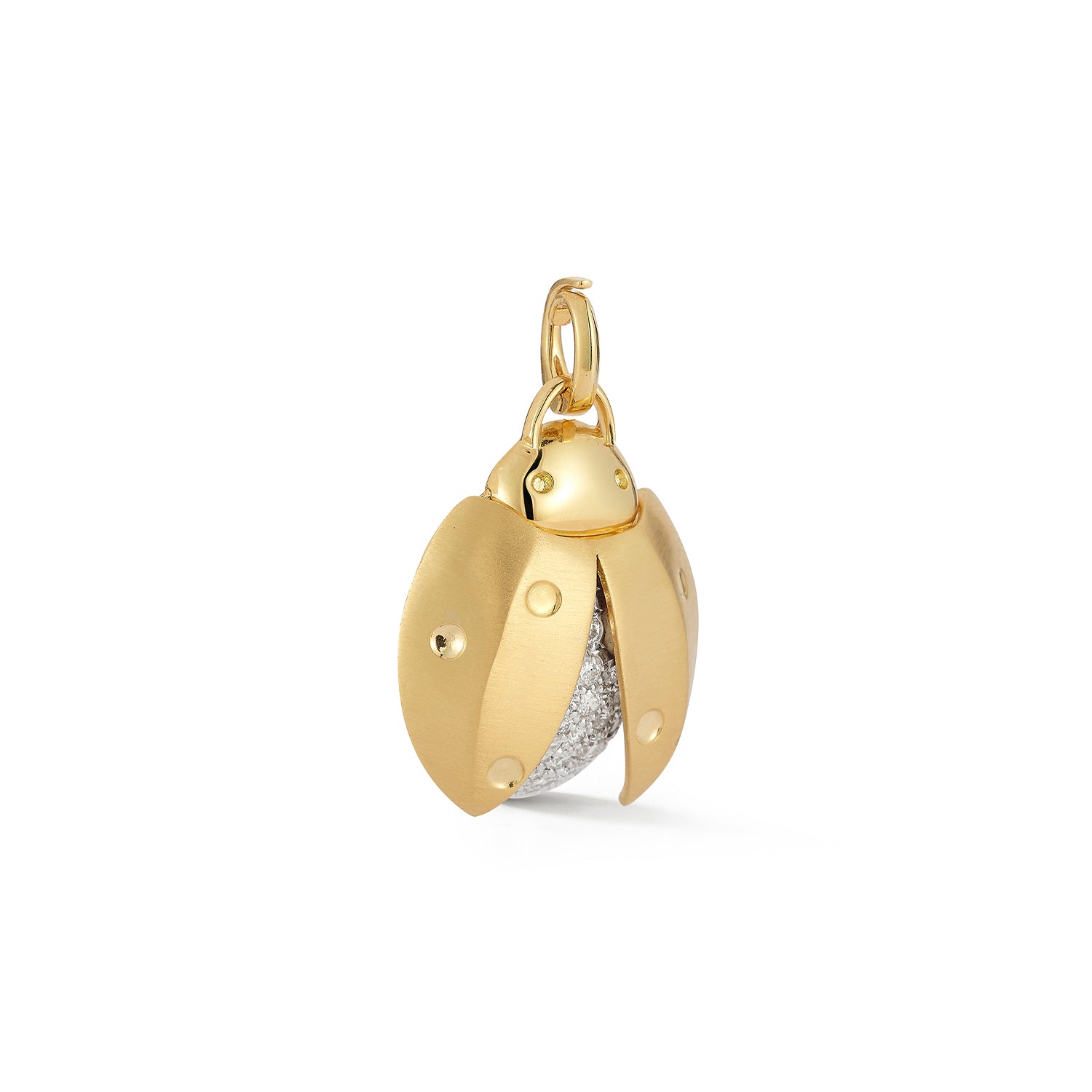 Ladybug Charm