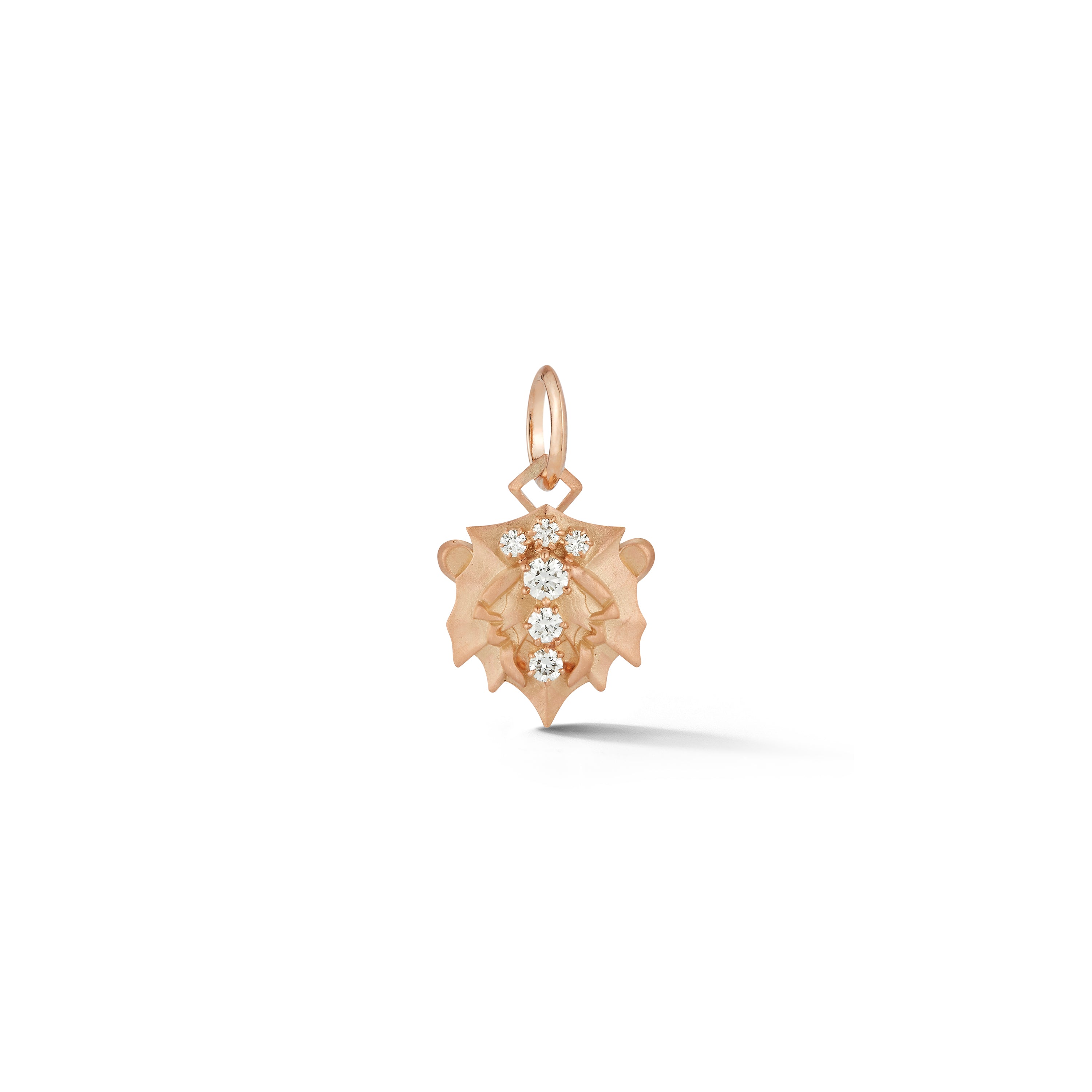 Leo Charm