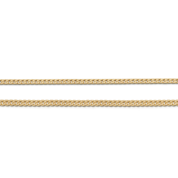Stevie Curb Chain Necklace