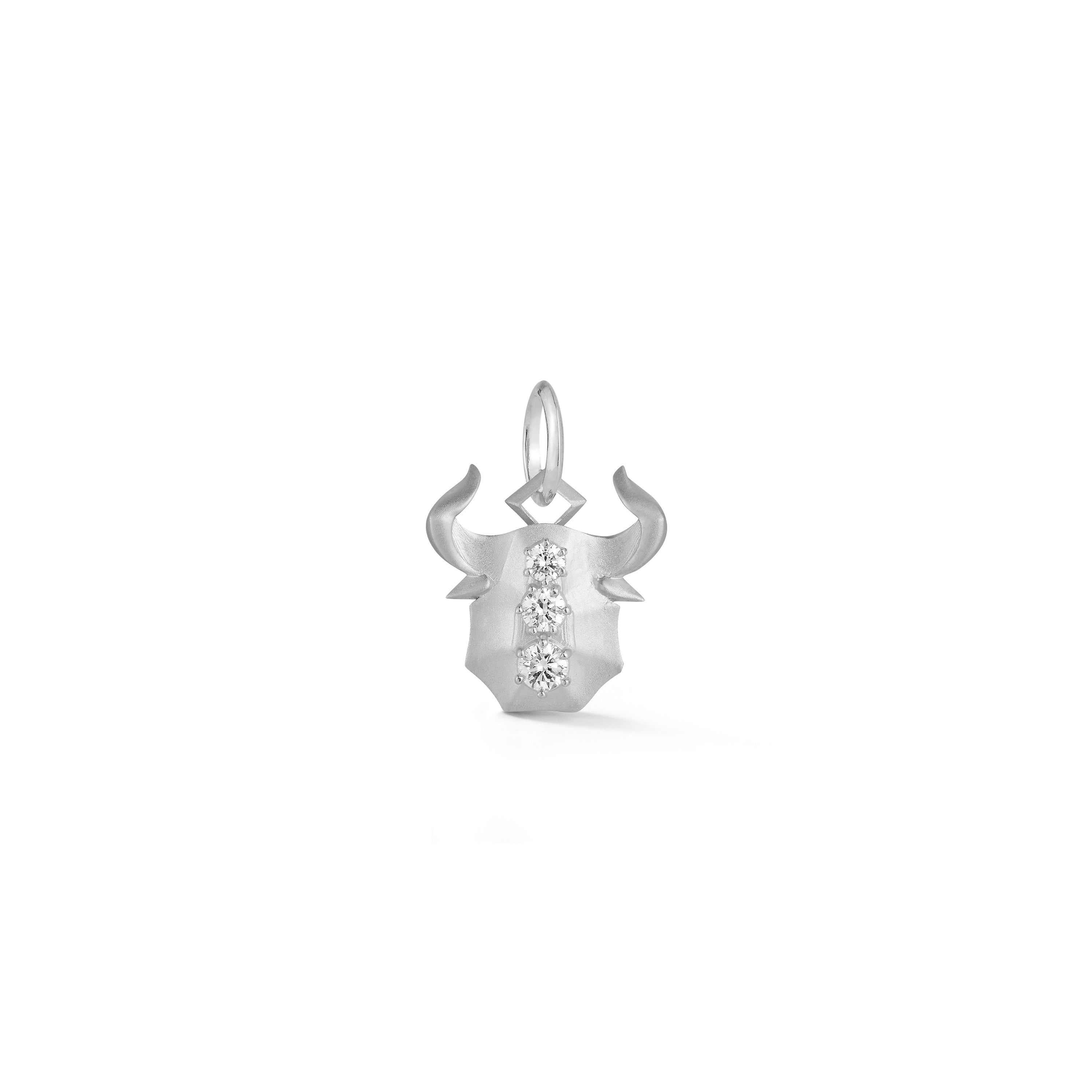 Taurus Charm